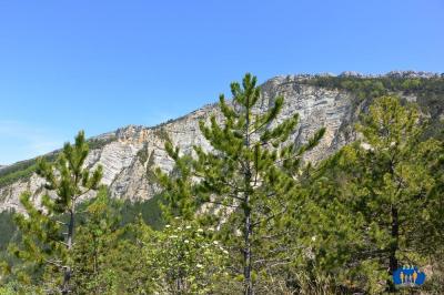 La Grésière 2