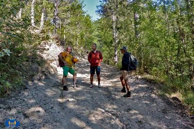 La piste forestière nouvellement ouverte.