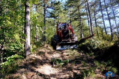 Un engin de débardage est stationné sur la piste.