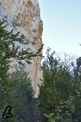 Falaise en versant Ouest encore dans l'ombre froide.