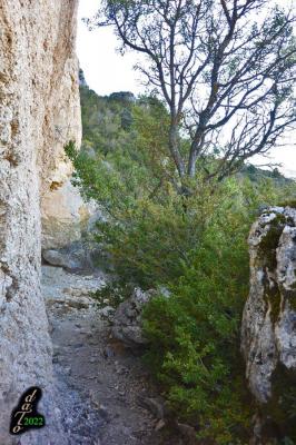 Sentier au pied de la falaise.