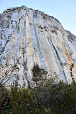 La falaise se dresse majestueusement au-dessus de la plaine.