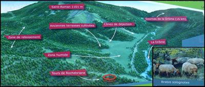 Information générale 2449