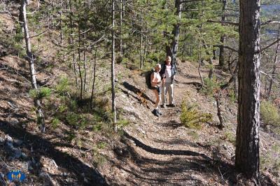 Le sentier 2454a