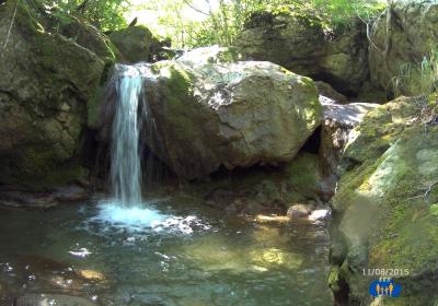 L'une des multiples cascades de ce ruisseau.