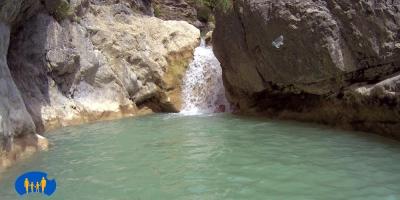 Un papillon passe au-dessus du plan d'eau.