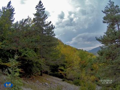 Passage en forêt.
