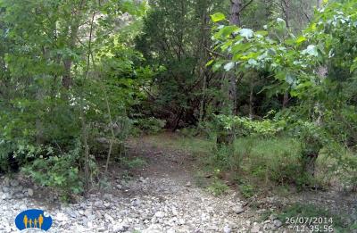 Rare espace de verdure, plan.