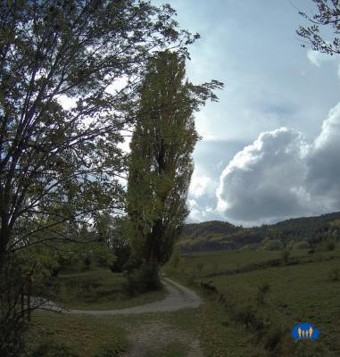 Contre-jour.