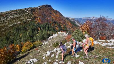 Montagne de Praloubeau - Descente sur le Col de Volvent.