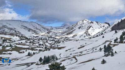 Grands espaces enneigés avec une végétation éparse.