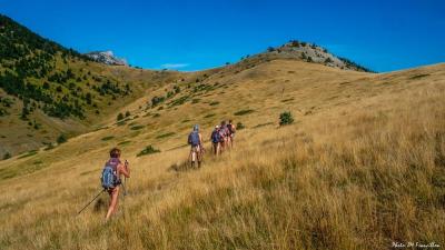 Plateau aux hautes herbes.3652a