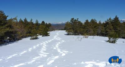 Nos traces dans la neige fraiche.