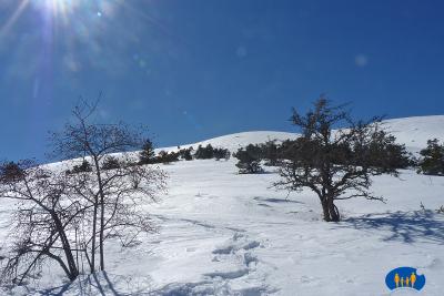 Grands espaces de neige 382b