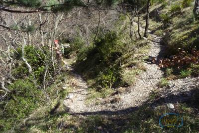Boucle des Gravelles - Sentier en épingle à cheveux.