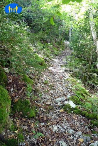 Betton - P1020862c (sentier étroit).