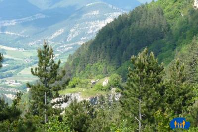 Au centre sur la photo, entre les pins, on aperçoit  la rune du château au sommet des rochers.