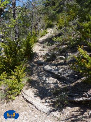 Le sentier grimpe raisonnablement.