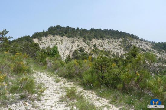Colline de marne blanche 50471p
