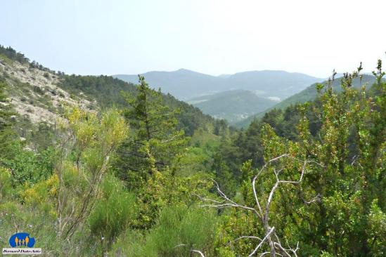Paysage 50472p