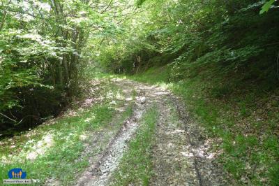 Chemin 50473p