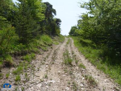 Chemin 50474a