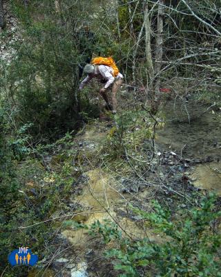 Passage du petit ruisseau encombré de végétation.