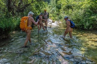Nons voilà partis dans les eaux froides du ruisseau.