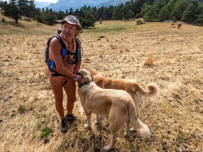 Alors Yves, ils sont gentils ces toutous - 1195a