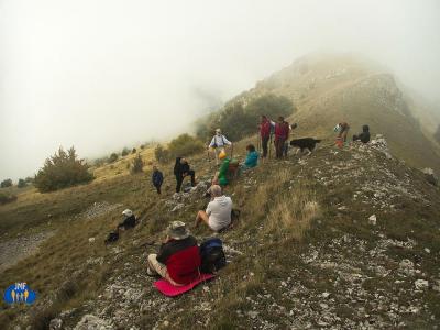 Casse-croûte dans le brouillard.