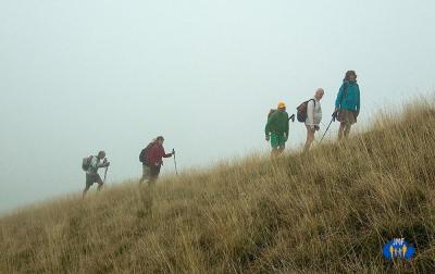 Montée dans les paturages.