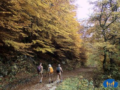 Couleurs d'automne