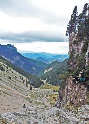 Pas de Chabrinel - Les Gravelles -  Descente vers Romeyer