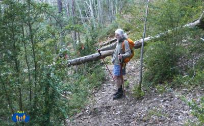 Des arbres morts encombrent le passage.
