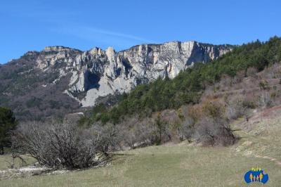 On prend sur la droite, vers la forêt de pins.