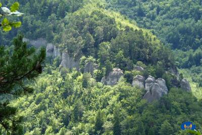 3A-Rochers des Beaumes (vue d'en face N.E.)