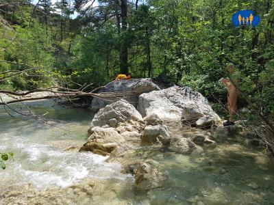 Ruisseau d'Establet 1
