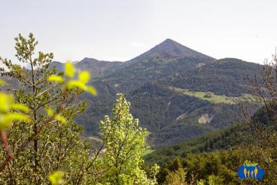 Salles-Beaumont 774 - Paysage de la Drôme