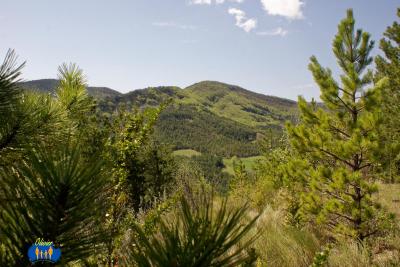 Salles-Beaumont 801- Paysages de la Drôme