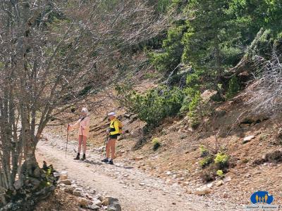 Tussac Il fait encore frais sur ce chemin.
